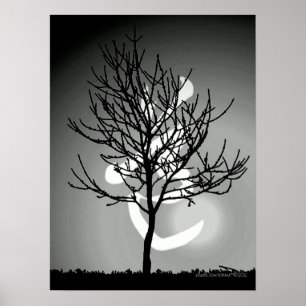 Friedliche Strahlung/Tao 道 Harmony (TBA) Poster