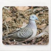 Friedliche Taube - Geopelia placida Mousepad (Vorne)