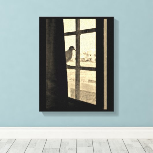 Friedliche Taube Leinwanddruck (Insitu (Holzboden))