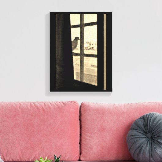 Friedliche Taube Leinwanddruck (Insitu (Wohnzimmer))