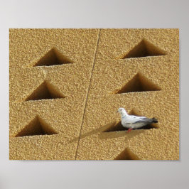 Friedliche Taube Poster