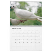 Friedliche Tauben und elegante Tauben Natur Inspir Kalender (Feb 2026)