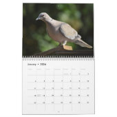 Friedliche Tauben und elegante Tauben Natur Inspir Kalender (Jan 2026)