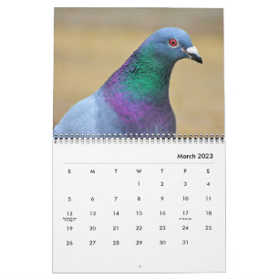 Friedliche Tauben und elegante Tauben Natur Inspir Kalender