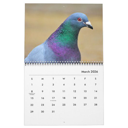 Friedliche Tauben und elegante Tauben Natur Inspir Kalender (Mär 2026)