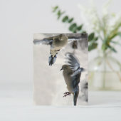 Friedliche Trauertauben im Mittelflug Postkarte (Stehend Vorderseite)