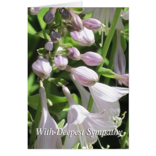 Friedliche Vorlage Beileidskarte (Vorne)