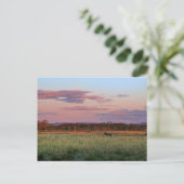 Friedliche Waldwiese Natur Postkarte (Stehend Vorderseite)