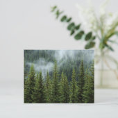 Friedliche Waldwiese Postkarte (Stehend Vorderseite)
