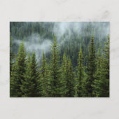 Friedliche Waldwiese Postkarte (Vorderseite)