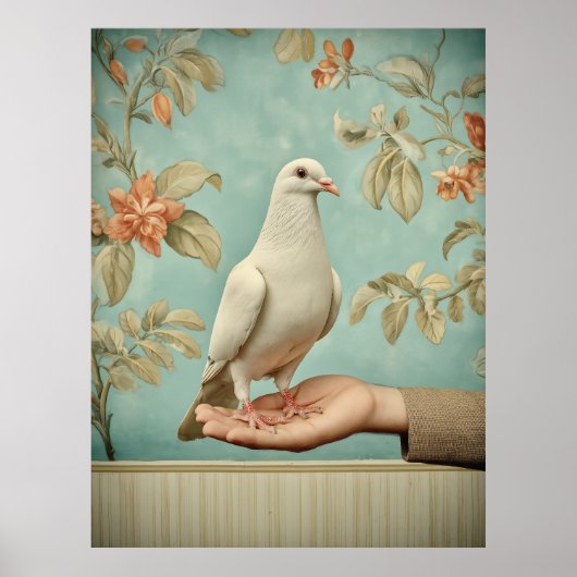 Friedliche Weiße Taube Poster (Vorne)