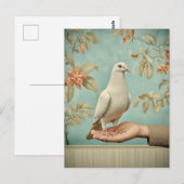 Friedliche weiße Taube Postkarte (Vorne/Hinten)