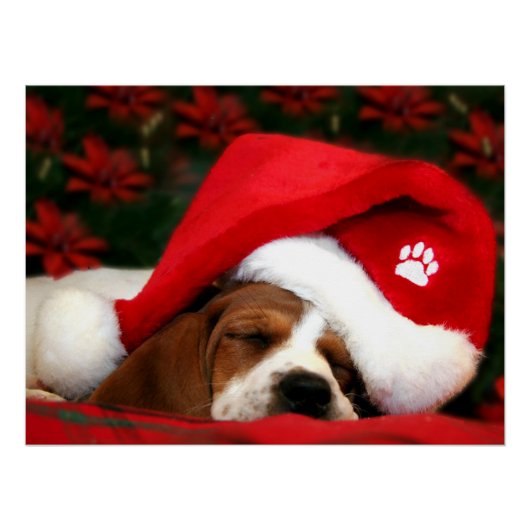 Friedliche Welpe Poster (Vorderseite)