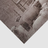 Friedliche, Zehenverriegelung Seidenpapier (Ausschnitt)