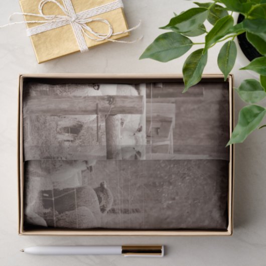 Friedliche, Zehenverriegelung Seidenpapier (Geschenk)