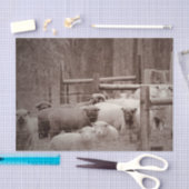 Friedliche, Zehenverriegelung Seidenpapier (Handwerk)