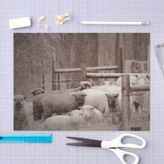 Friedliche, Zehenverriegelung Seidenpapier (Handwerk)