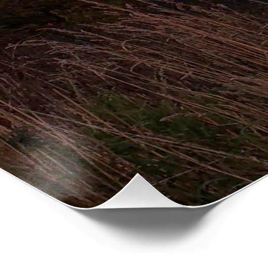 Friedlicher Abend in Newtown Poster (Ecke)