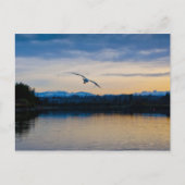 Friedlicher Abend Postkarte (Vorderseite)