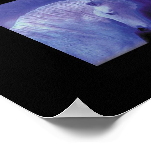 Friedlicher Besuch Poster (Ecke)