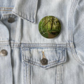 Friedlicher grüner Waldweg in Washington Button (Beispiel)