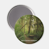 Friedlicher grüner Waldweg in Washington Magnet (Vorderseite/Rückseite)