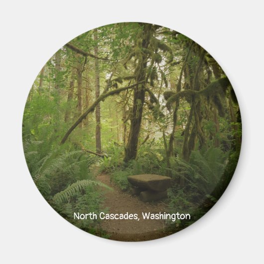 Friedlicher grüner Waldweg in Washington Magnet (Vorne)