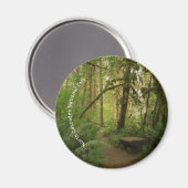 Friedlicher grüner Waldweg in Washington Magnet (Vorderseite/Rückseite)