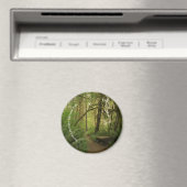 Friedlicher grüner Waldweg in Washington Magnet (In Situ (Geschirrspüler))
