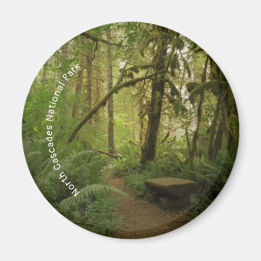 Friedlicher grüner Waldweg in Washington Magnet (Vorne)
