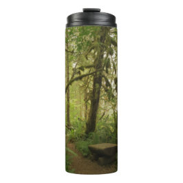 Friedlicher grüner Waldweg in Washington Thermosbecher