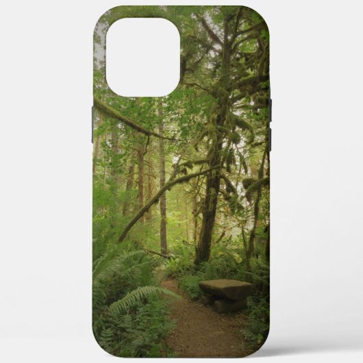 Friedlicher Grünwaldweg Washington Case-Mate iPhone Hülle (Rückseite)