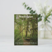 Friedlicher Grünwaldweg Washington Postkarte (Stehend Vorderseite)