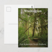 Friedlicher Grünwaldweg Washington Postkarte (Vorne/Hinten)