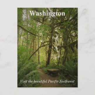 Friedlicher Grünwaldweg Washington Postkarte