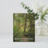 Friedlicher Grünwaldweg Washington Postkarte (Stehend Vorderseite)