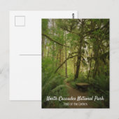 Friedlicher Grünwaldweg Washington Postkarte (Vorne/Hinten)
