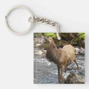 Friedlicher Hochland Junger Rothirsch Hirsch Sanft Schlüsselanhänger