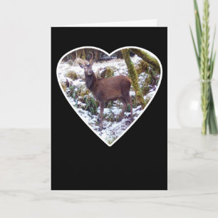 Friedlicher Majestätischer Hirsch Moment Winterwal Karte