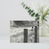 Friedlicher Moment Postkarte (Stehend Vorderseite)