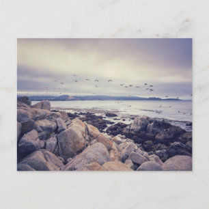 Friedlicher Morgen am Pebble Beach Postkarte