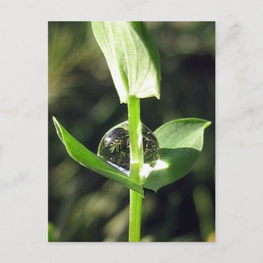 Friedlicher Naher Klettersteig auf Naturmeditation Postkarte (Vorderseite)