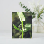 Friedlicher Naher Klettersteig auf Naturmeditation Postkarte (Stehend Vorderseite)