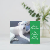 Friedlicher Niedlicher weißer Hund mit Vater grün Postkarte (Stehend Vorderseite)