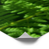 Friedlicher Ort Poster (Ecke)