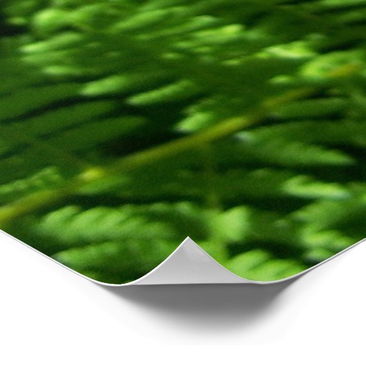 Friedlicher Ort Poster (Ecke)