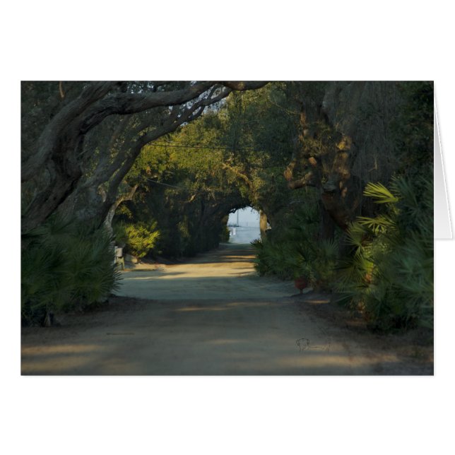 Friedlicher Pfad (Vorderseite (Horizontal))