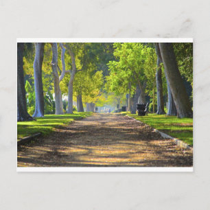 Friedlicher Pfad Postkarte