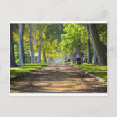 Friedlicher Pfad Postkarte (Vorderseite)