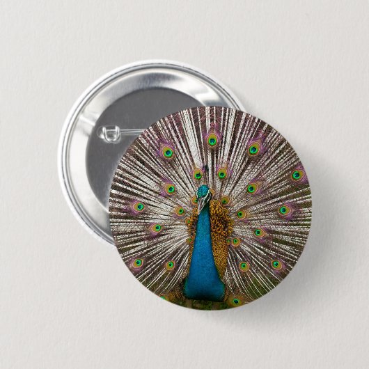 Friedlicher Pfau Button (Vorne & Hinten)